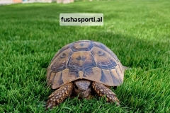 WhatsApp-Image-2025-09-21-at-1.21.00-PM